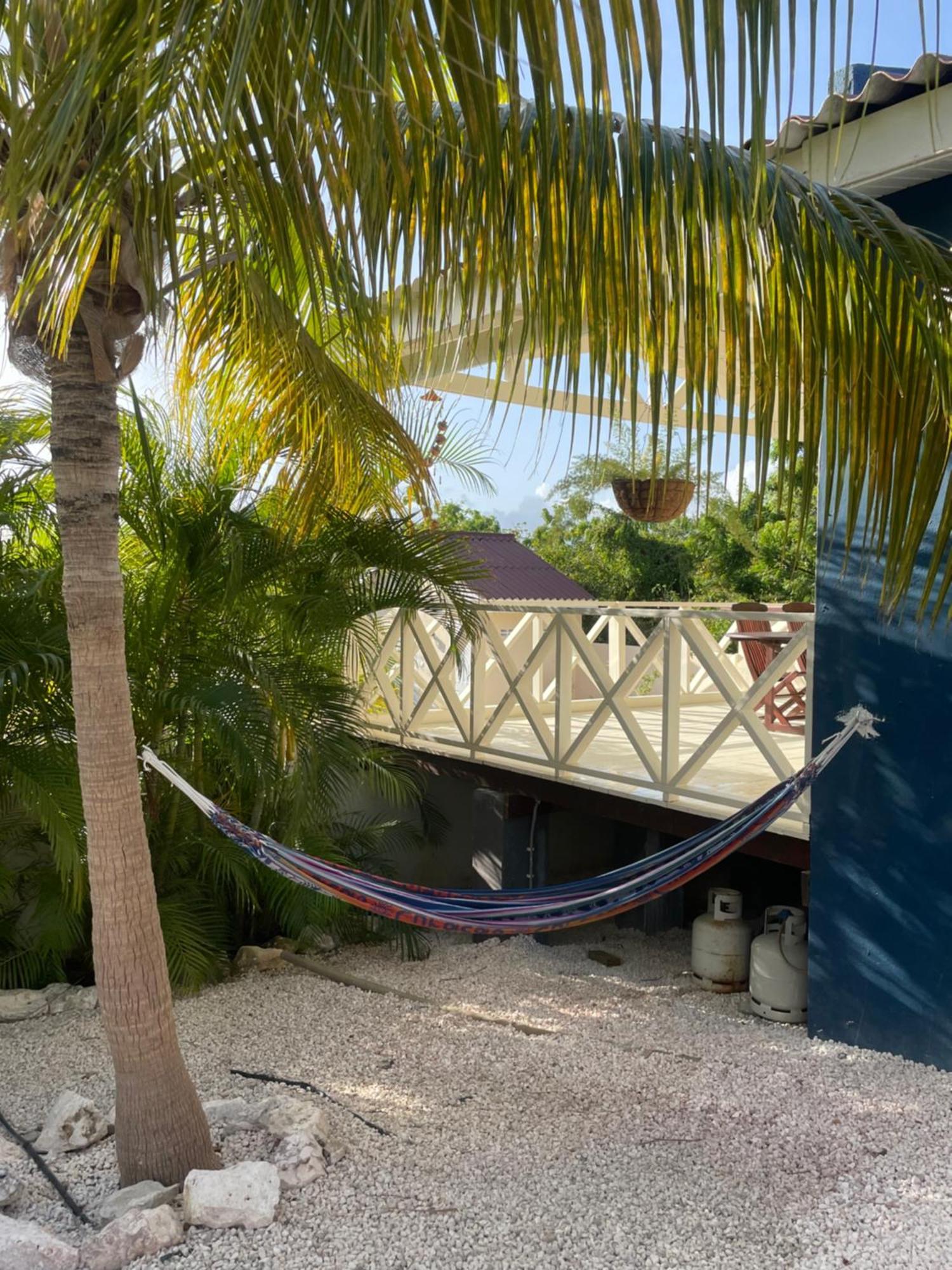 Mini Resort Kaya Verdi Willemstad Dış mekan fotoğraf